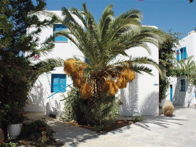פלטאנס Galeana Beach Hotel מראה חיצוני תמונה